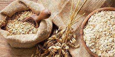 Colloidal Oatmeal And Oat Oil Ingredient Spotlight - Childs Farm